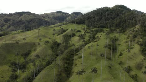 aerial flying sideways in cocora valley during midday, colombia