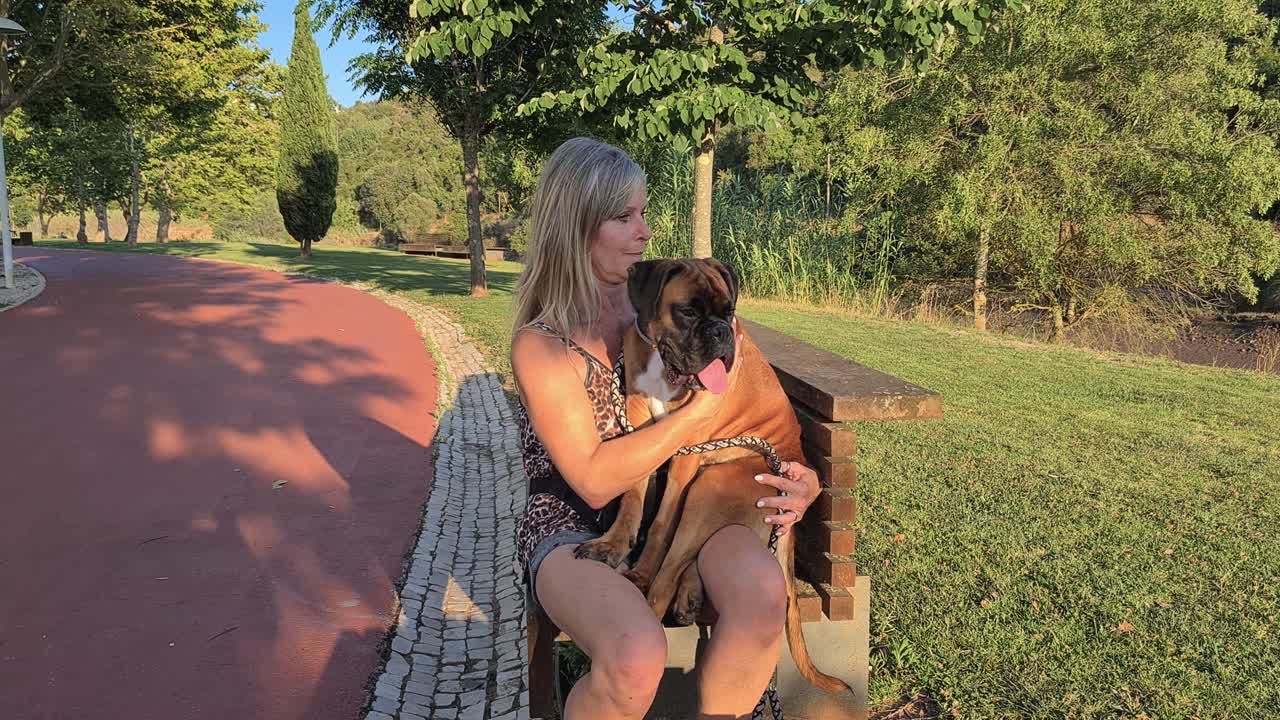 젊은 박서 개 가 그 와 함께 있는 여인 의 무 ⁇  에 앉아 있다