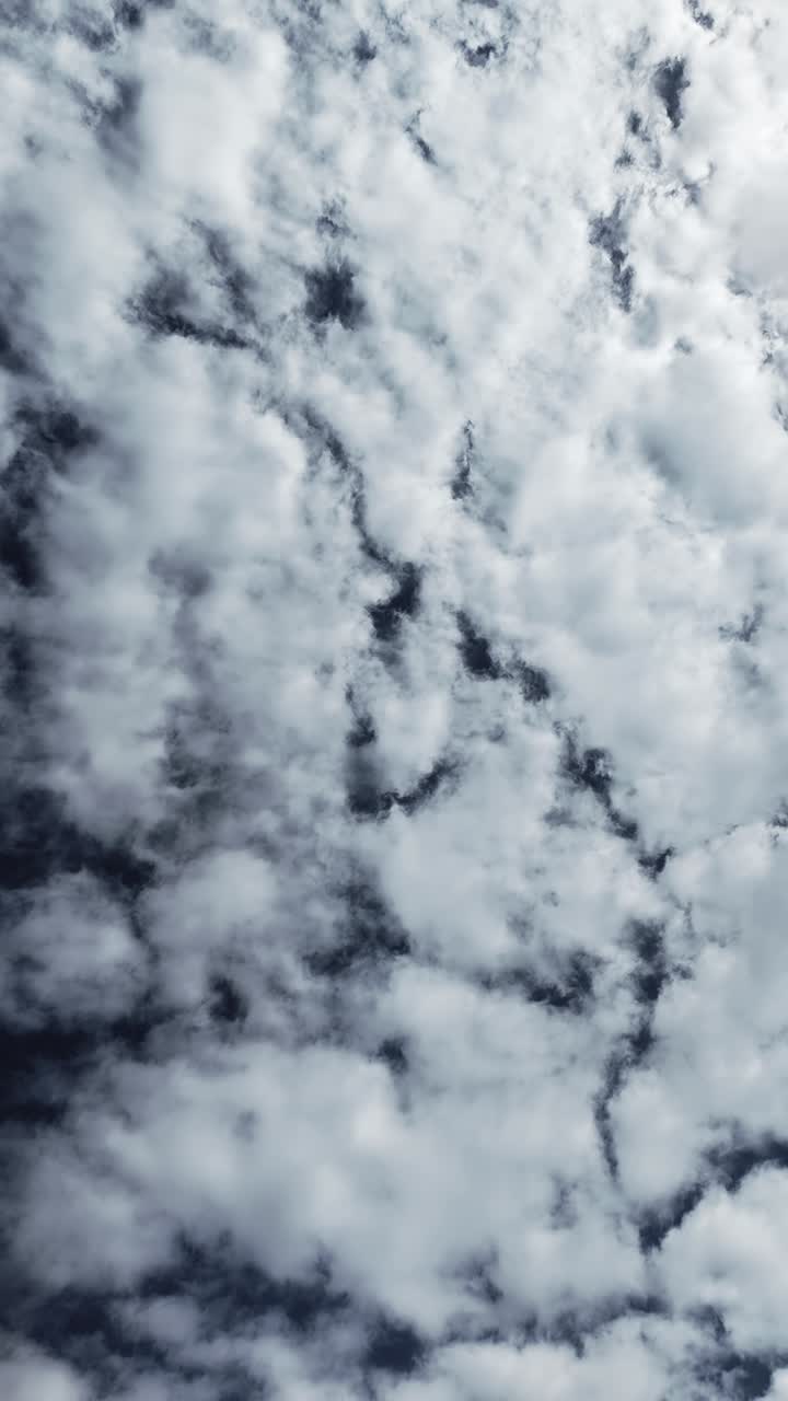 Looking up at gathering cloud formations passing overhead Timelapse