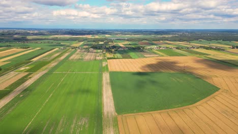 Luftaufnahme-Mit-Der-Landschaftsgeometriestruktur-Vieler-Landwirtschaftlicher-Felder-Mit-Verschiedenen-Pflanzen-Wie-Raps-In-Der-Blütezeit-Und-Grünem-Weizen