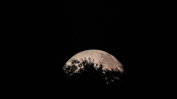 Peak of moon's moon captured with treetops at closeup close up view during night zoom in moon, and Lunalon construction with detailed moon landscape captured in 4k