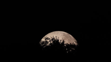 Gipfel-Des-Mondes,-Aufgenommen-Mit-Baumwipfeln-In-Nahaufnahme,-Nahaufnahme-Während-Der-Nacht,-Zoom-In-Mond-Und-Lunalon-Konstruktion-Mit-Detaillierter-Mondlandschaft,-Aufgenommen-In-4k