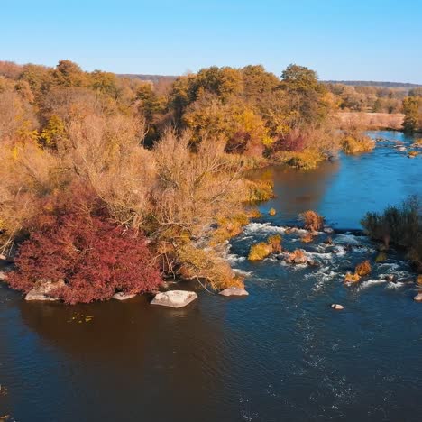 the river rapids in the forest among the orange and yellow lush vegetation. the reflection of blue sky in the water. aerial view of autumn forest early in the morning