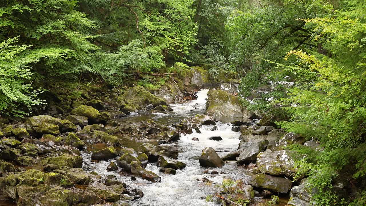 울창한 초록색으로 둘러싸인 흐르는 폭포