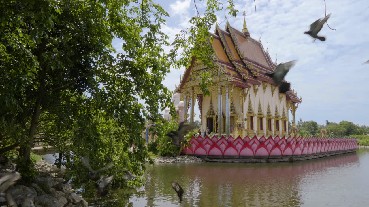 vista al lago en el templo plai laem y palomas volando alrededor de la orilla en busca de comida