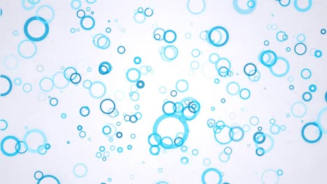 el concepto de fondo de círculo abstracto, limpio, hermoso, suave, simple, desenfoque de movimiento borroso, tecnología, futuro, juego, internet, datos, educación, web, móvil, video en bucle