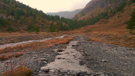 Arroyo-Rocoso-En-Medio-De-Colinas-Y-Montañas-Con-Un-Denso-Bosque-De-Pinos-En-Piemonte,-Italia