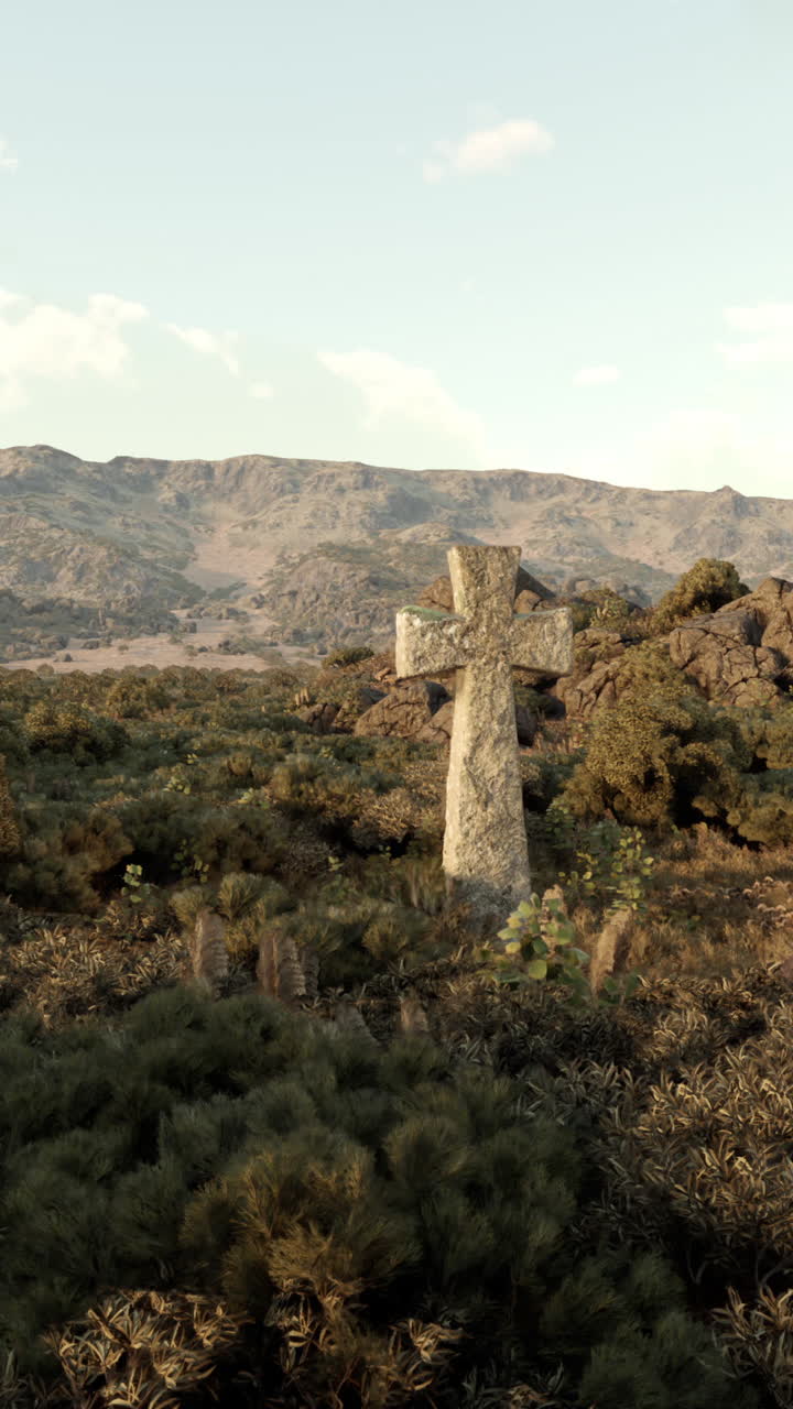 palmeras y hierba en la luz del sol brumosa