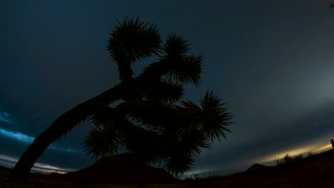 dag-naar-nacht time-lapse met een joshua-boom op de voorgrond en een butte in de mojave-woestijn op de achtergrond terwijl de volle maan opkomt achter het atmosferische wolkenlandschap