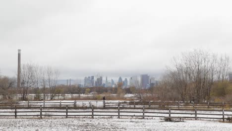 static shot dowtown toronto, canda covered with white snow city skyline in the background from lakeside beach on a cloudy day