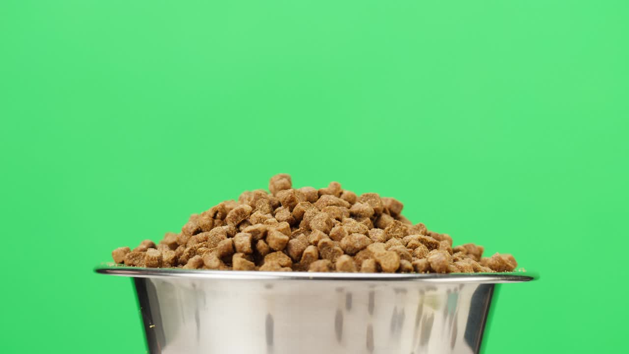 alimento seco para perros en cuenco de metal rotativo de primer plano. gránulos en plato sobre fondo verde. alimentación de animales domésticos, golosinas para cachorros. comida crujiente para gatos de pedigrí. tienda de mascotas y entrega