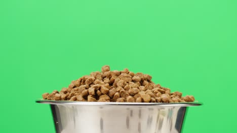 dried dog food in metal bowl close-up rotating. granules in dish on green background. feeding domestic animals, treats for puppies. crunchy meal for pedigree cats. pet shop and delivery