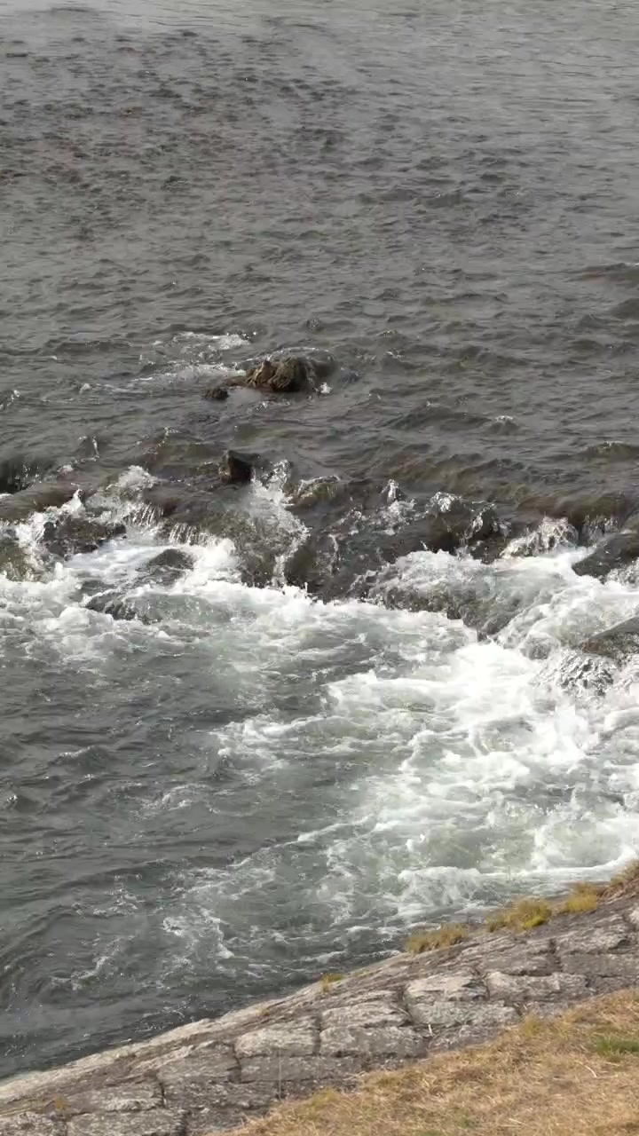 Ripresa statica dall'alto di rapide di acqua bianca che scorrono su pietre lungo la riva di un fiume.