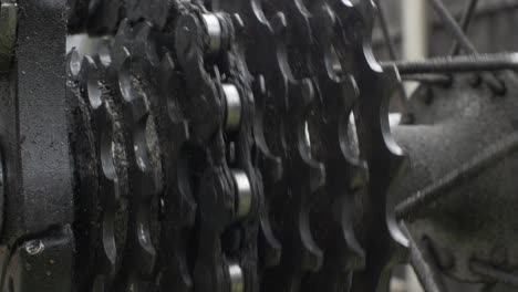 close up of rotating rear cycle cassette