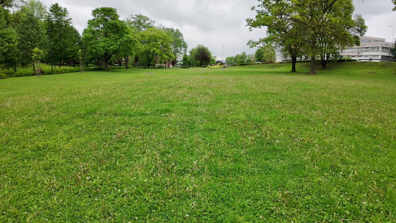 잔디에서 는 가리 공원