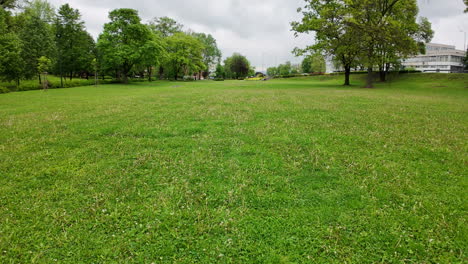 caminando por la hierba en el parque húngaro