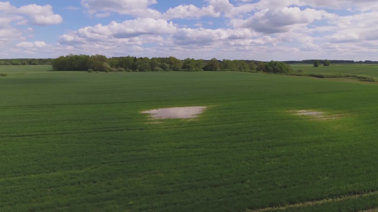 собирающиеся лужи на зеленеющих сельскохозяйственных полях. снимок с воздуха
