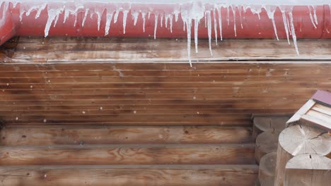 spring drops, icicles