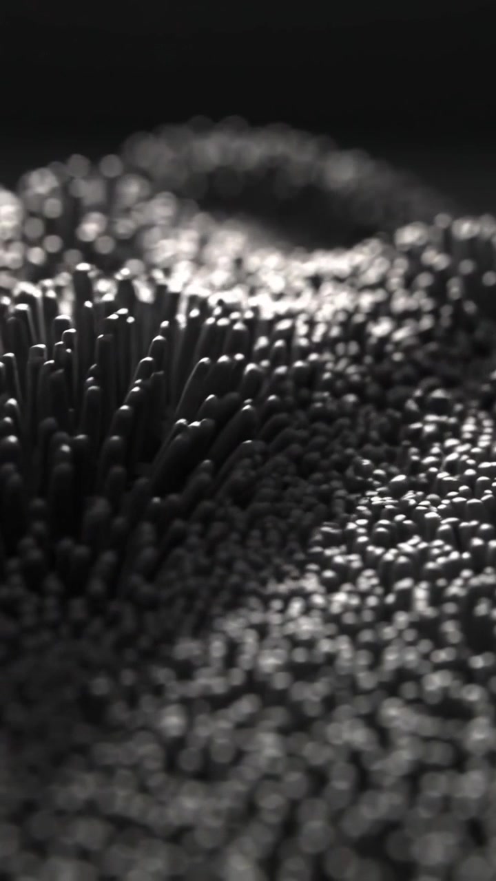 Vertical video: Moving camera, dense field forming ripples on dark set, shiny tips showing texture