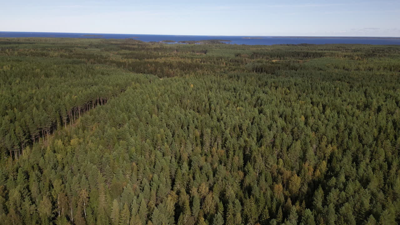 Laaja alue tiheää Pohjois-Euroopan havumetsää ja rannikkoa