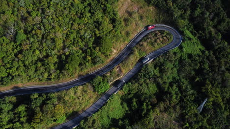 curvy asphalt road leading up jungle forest mountain with driving cars, aerial view