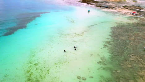 crystal clear water makes for a good swim