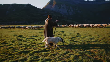 shepherd and sheep in mountain valley