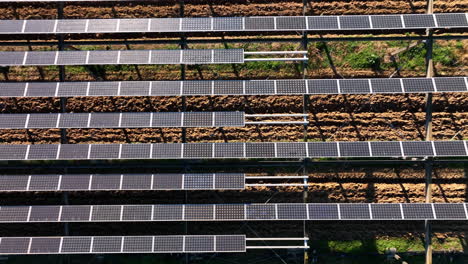 El-Paisaje-Agrícola-De-Montpellier-Intercalado-Con-Modernos-Paneles-Solares,