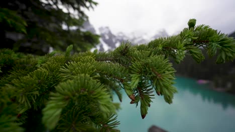 kayaking alone on moraine lake