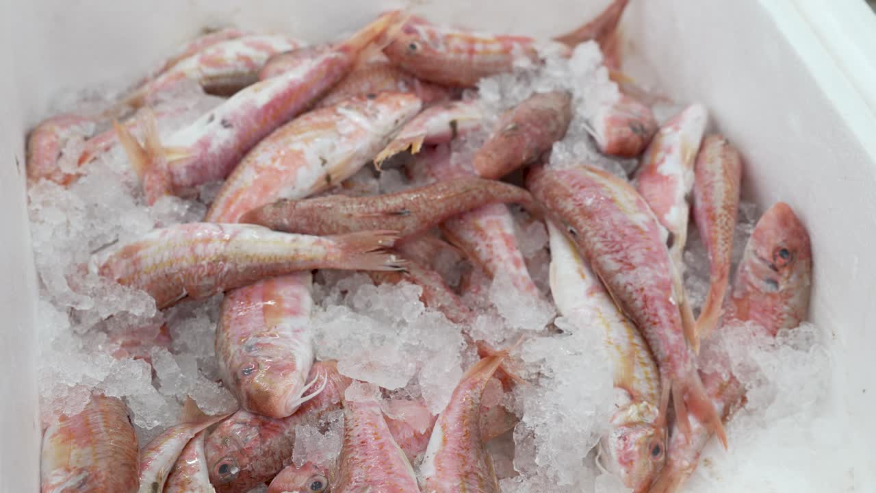 Vibrant fish rest on a bed of ice, showcasing the day’s fresh catch at a lively coastal market. Vendors and shoppers create an energetic atmosphere filled with the day’s harvest