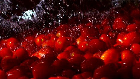 in an industry tomatoes, red tomatoes pass into tanks filled with water to be washed from earth and debris and exit perfectly clean.