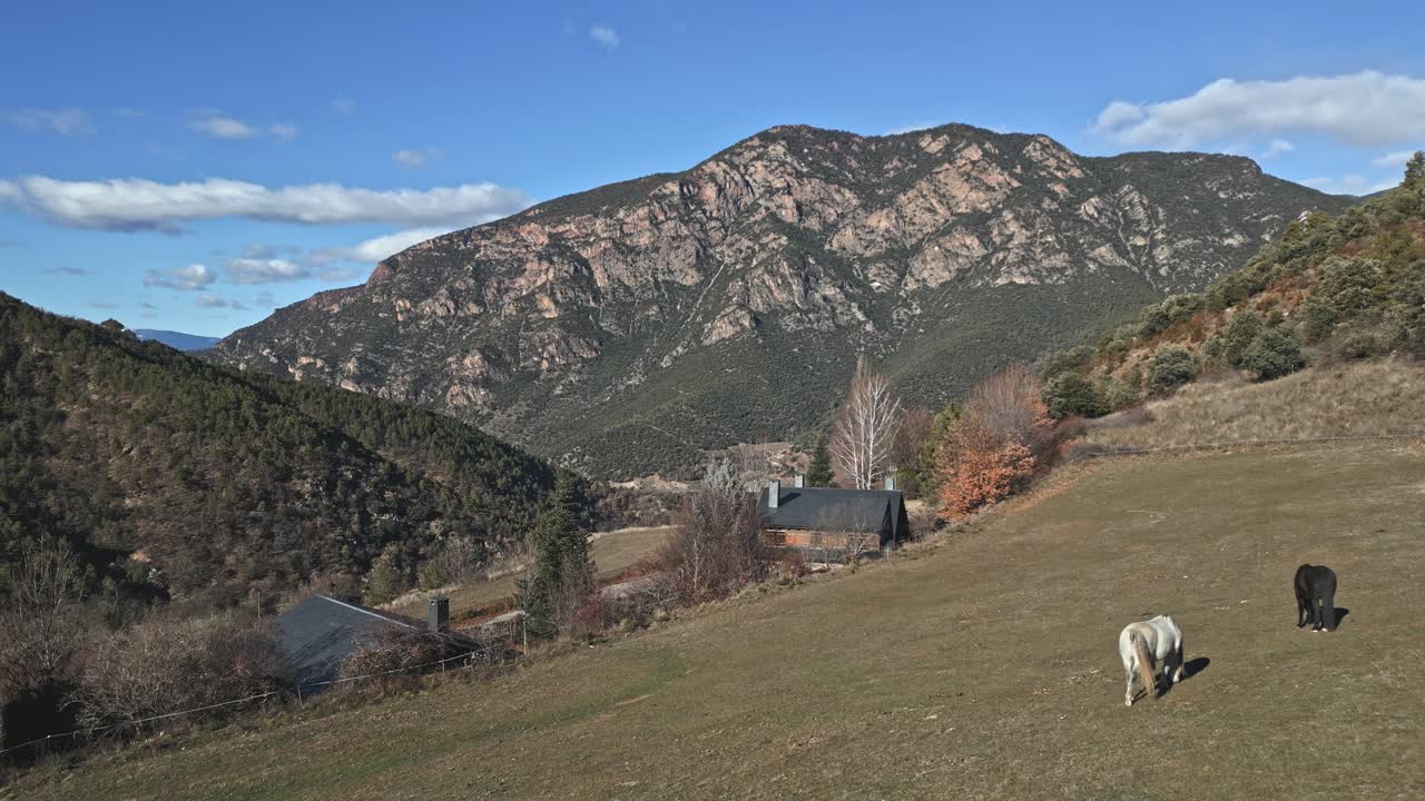 drone aéreo vuela sobre caballos de pastoreo en la aldea rural en españa fondo de cordillera con horizonte azul, animales comiendo hierba
