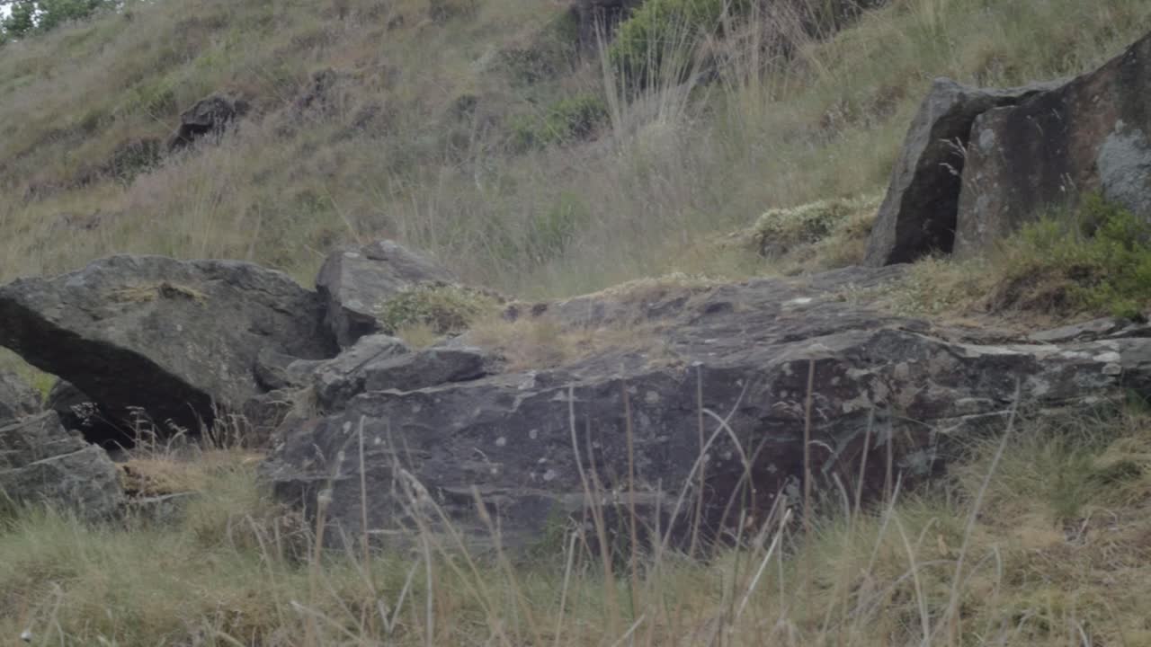 Yorkshire moor land with rocks medium panning shot