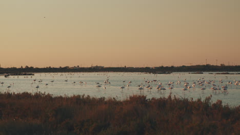 Beautiful-Italian-Sunset-in-Comacchio-Valley-with-Flamingos-flying-over-a-Saltern