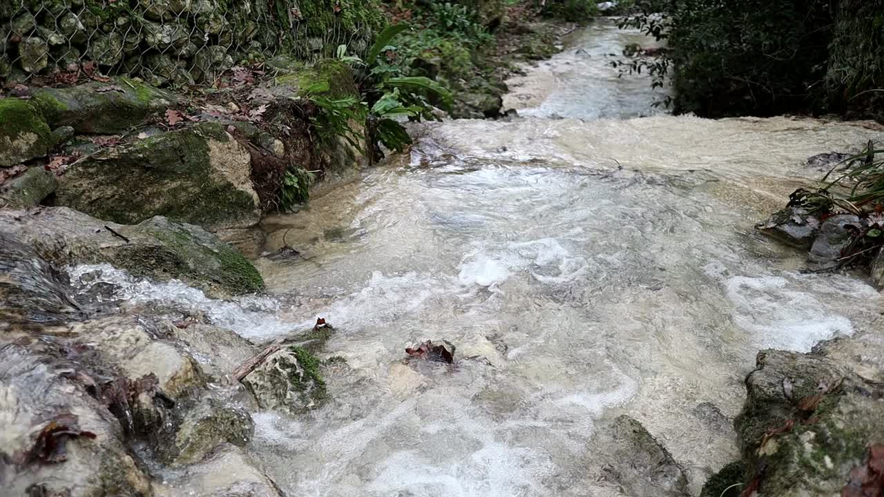 arroyo de montaña y hojas verdes, sot desde arriba del agua
