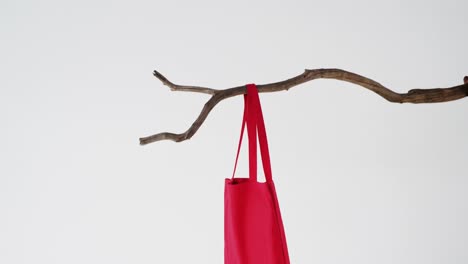 Handbag-hanging-on-branch