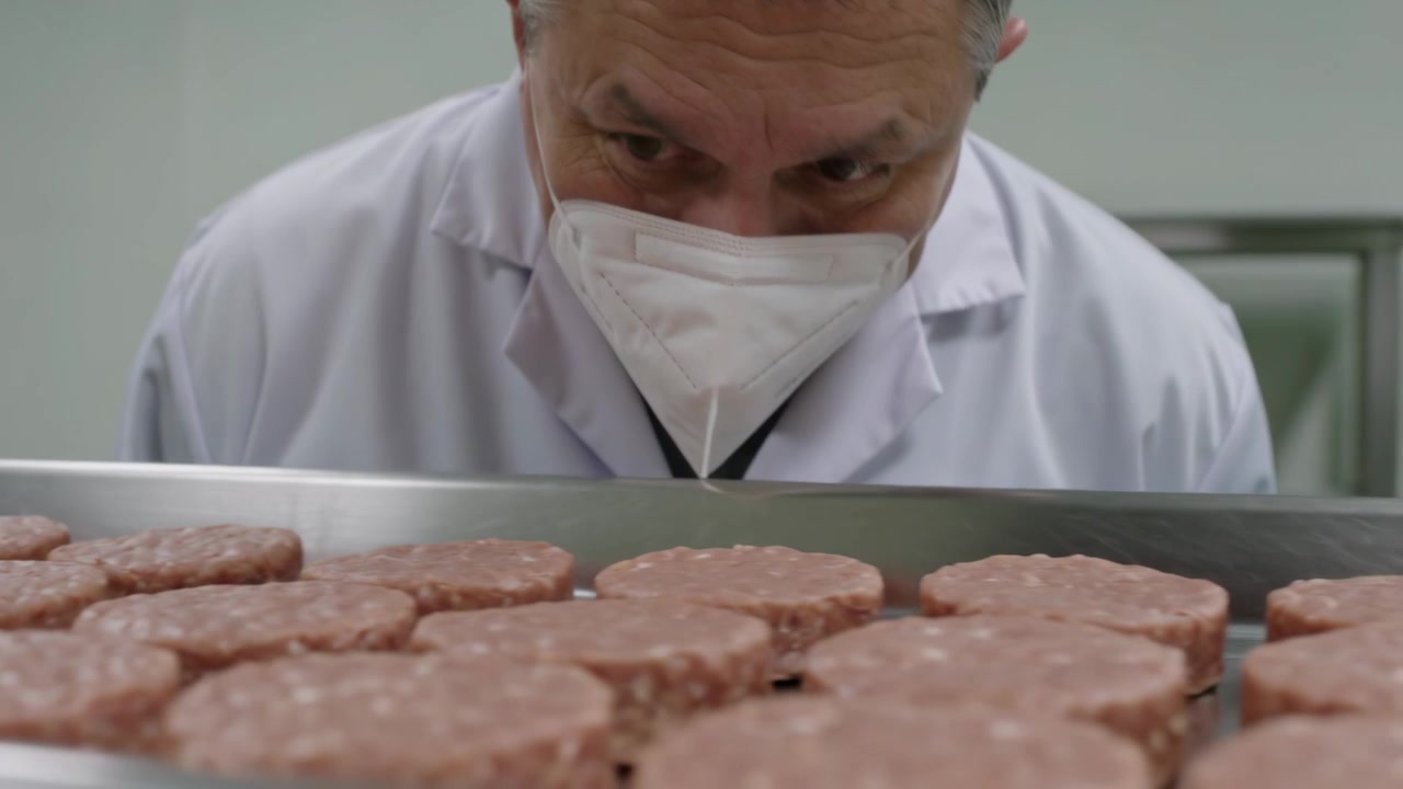 Inspector leaning, scanning patties for quality in plant, tray entering, in white lab coat and mask