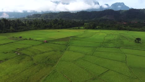 Impresionante-Vista-Panorámica-De-Los-Arrozales-Cerca-De-Vang-Vieng-En-Laos.