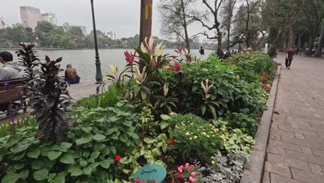 a peaceful walk along a flower-lined path