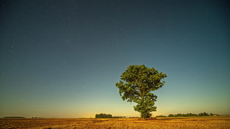 astrofotografía del lapso de tiempo de un árbol solitario en el campo