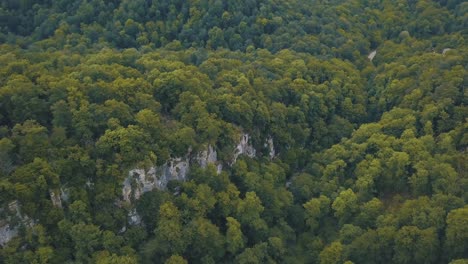 aerial view of a lush forest valley with mountains