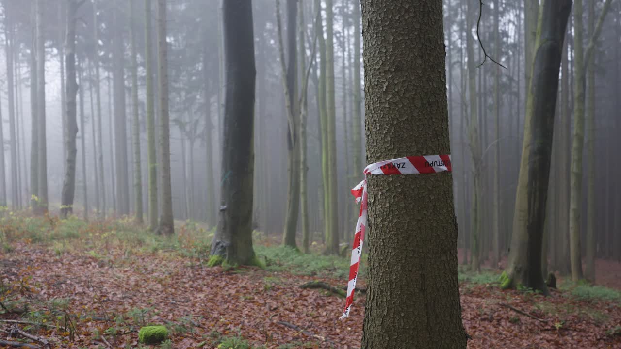 Warning tape on a tree calling for a ban. Hazard warning in a forest covered in fog