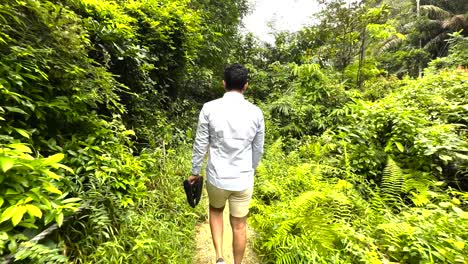 view of a male tourist walking in windsor nature park with lush green vegetation in singapore - tracking