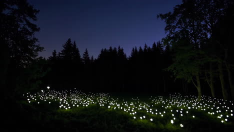 a serene night scene in a forest with an illuminated field of glowing lights under a starry sky