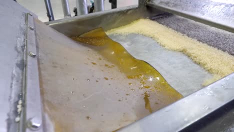 industrial food processing: grain screening and separation