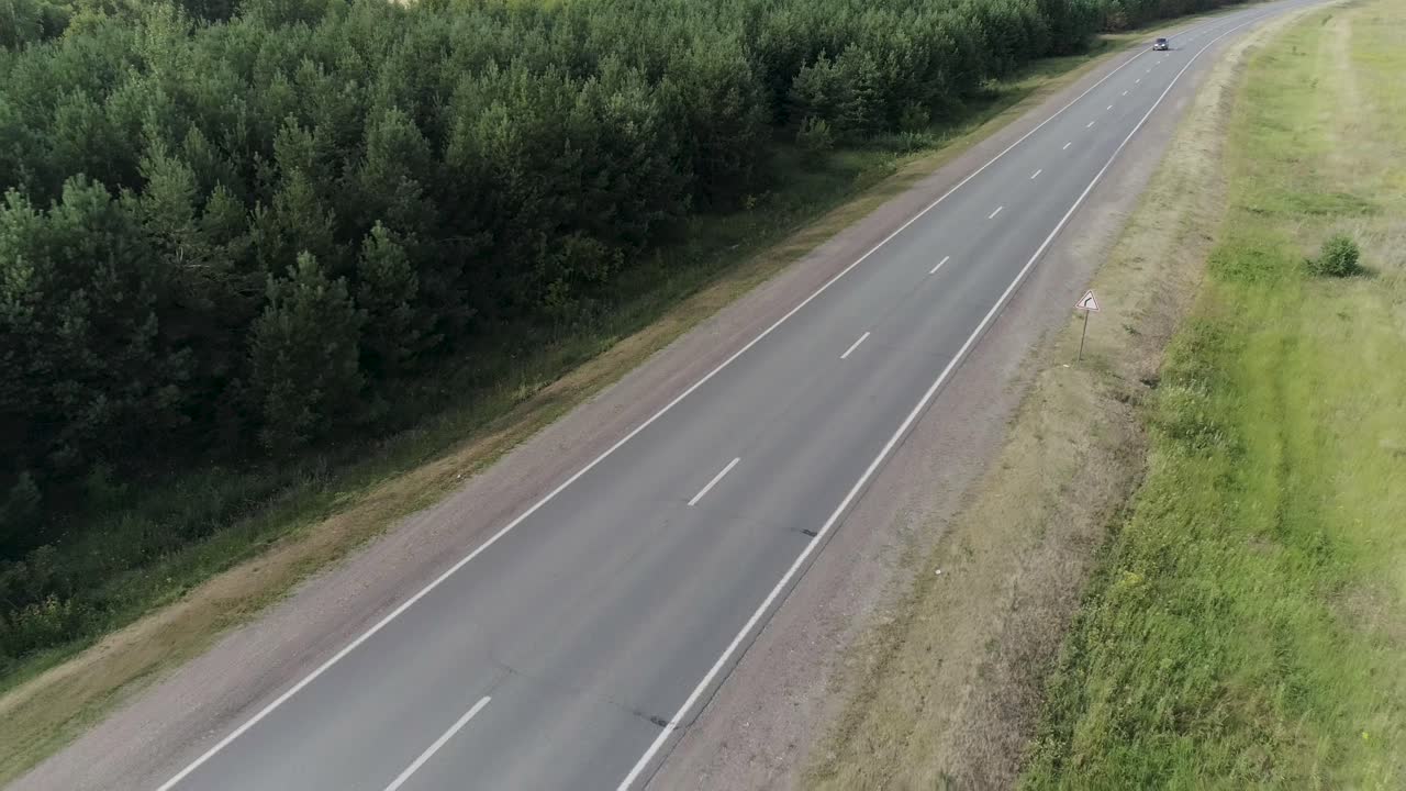 сельская дорога через сосновый лес