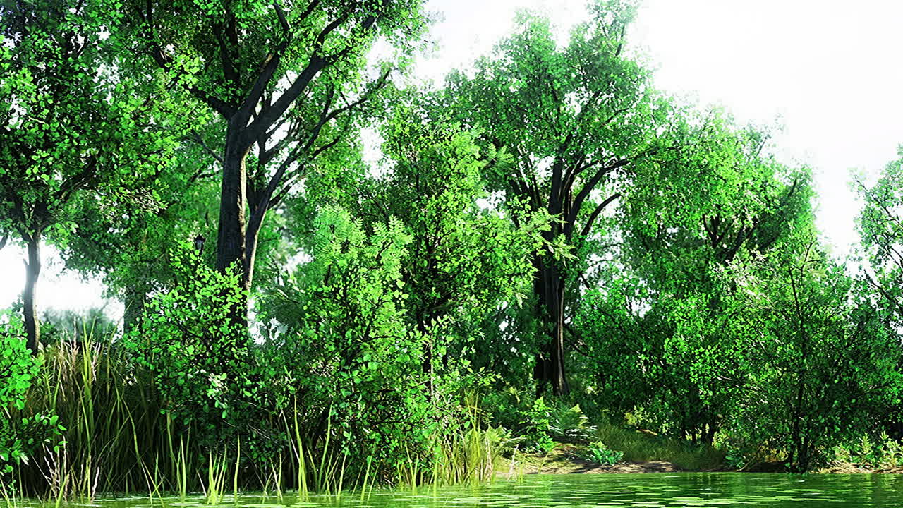 Lush greenery surrounds tranquil waters in a vibrant natural setting