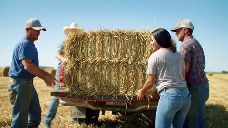 teamwork and community spirit: farmers collaborating to load bales of hay onto a pickup truck in a sunny field setting