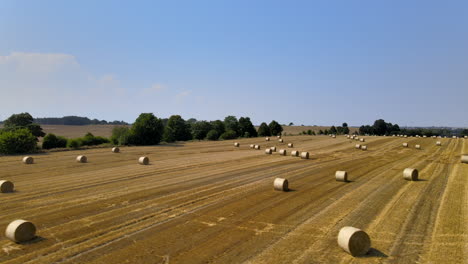 side tracking shot of fields of hay bales with good copy space