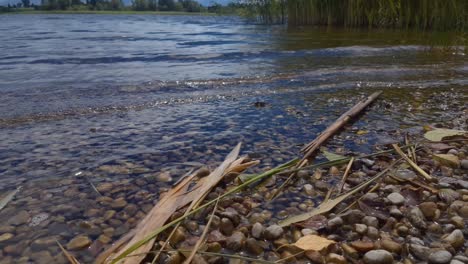 Disparo-De-Primer-Plano-De-Agua-De-Lago-Pacífico